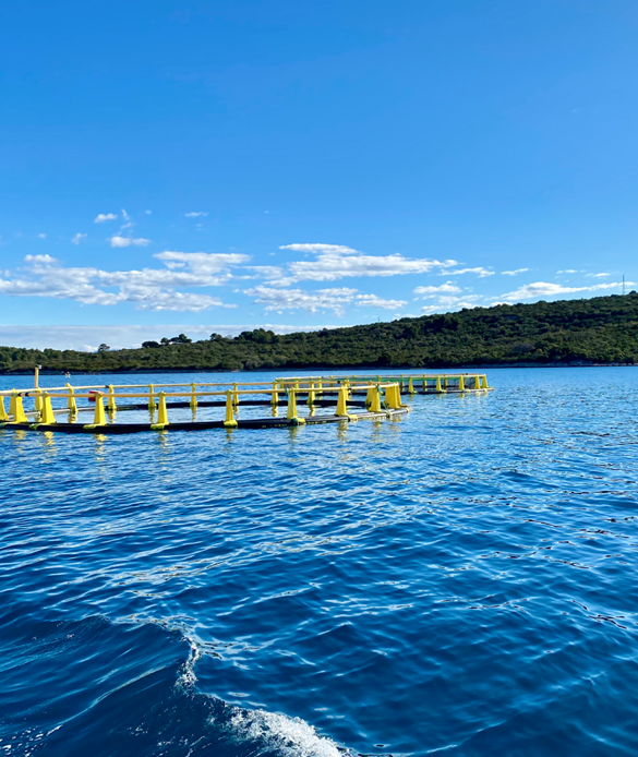 0ba91dba-eb32-488a-80c7-1584770e9629